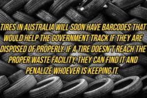 Cool and Interesting Facts #447 (25 photos)