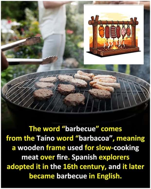 Cool and Interesting Facts #447 (25 photos)