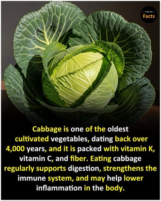 Cool and Interesting Facts #449 (23 photos)