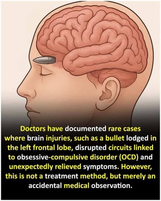 Cool and Interesting Facts #449 (23 photos)