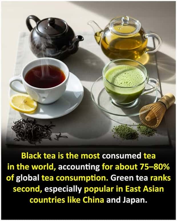 Cool and Interesting Facts #449 (23 photos)