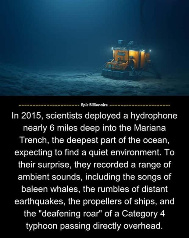 Cool and Interesting Facts #449 (23 photos)