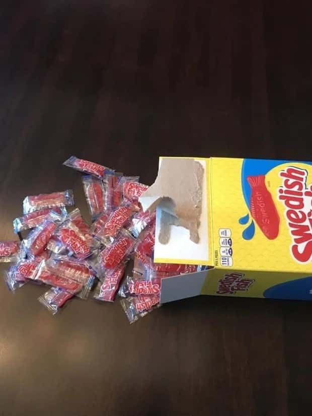20 Striking Cases of Excessive Packaging (20 photos)