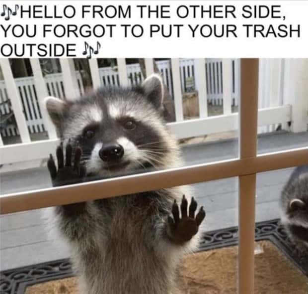 funny memes 12 Funny Pics and Memes to Make You Laugh #174 (26 photos)