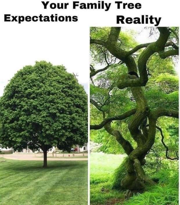 funny memes 14 Funny Pics and Memes to Make You Laugh #174 (26 photos)