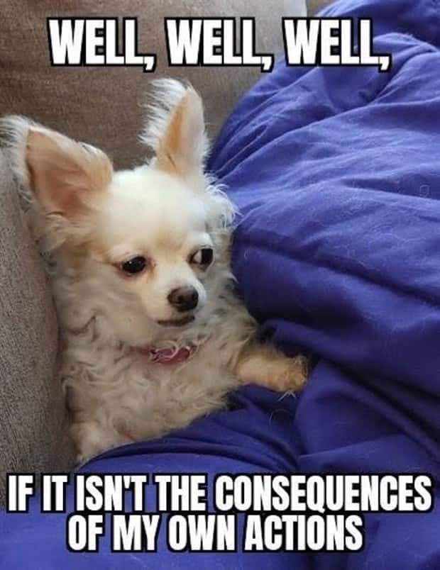 funny memes 17 Funny Pics and Memes to Make You Laugh #174 (26 photos)