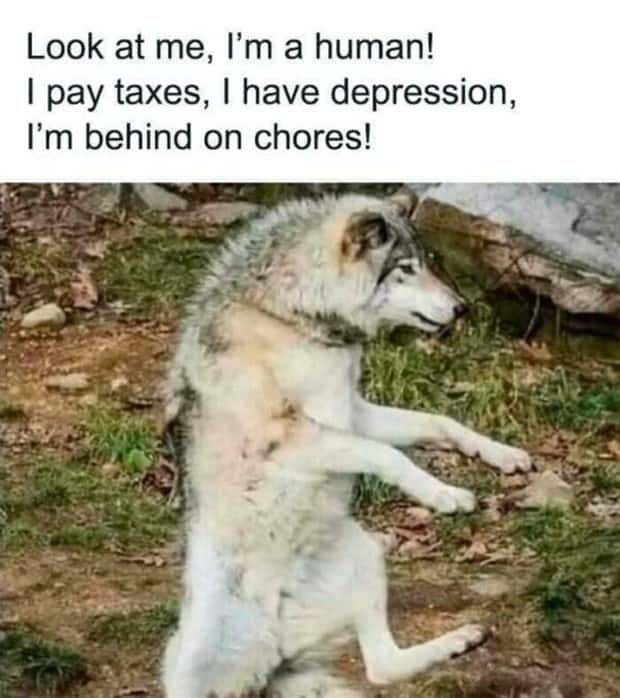 funny memes 23 Funny Pics and Memes to Make You Laugh #174 (26 photos)