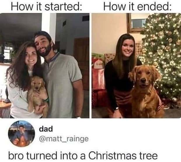 funny memes and pics 10 Funny Pics and Memes to Make You Laugh #172 (24 photos)