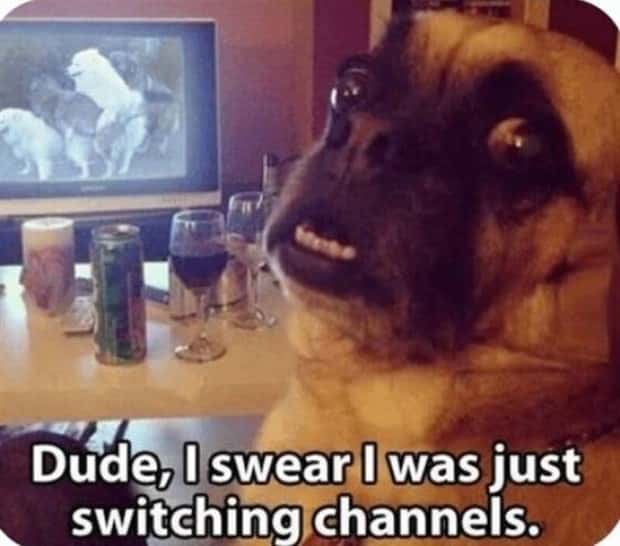 funny memes and pics 23 Funny Pics and Memes to Make You Laugh #172 (24 photos)