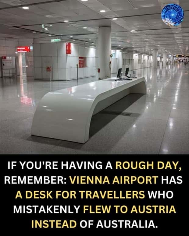 funny memes and pics 4 Funny Pics and Memes to Make You Laugh #172 (24 photos)