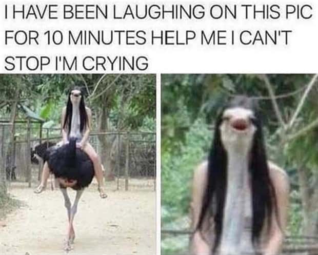 funny memes and pics 9 Funny Pics and Memes to Make You Laugh #172 (24 photos)