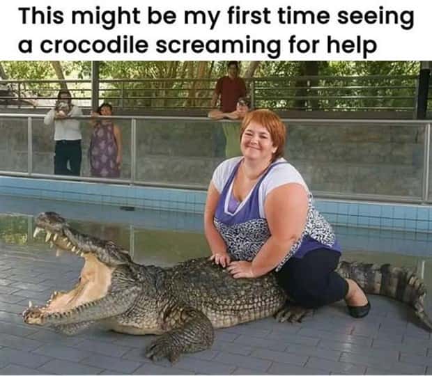 funny pics and memes 1 1 Funny Pics and Memes to Make You Laugh #173 (25 photos)