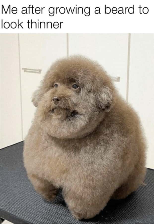 funny pics and memes 11 1 Funny Pics and Memes to Make You Laugh #173 (25 photos)