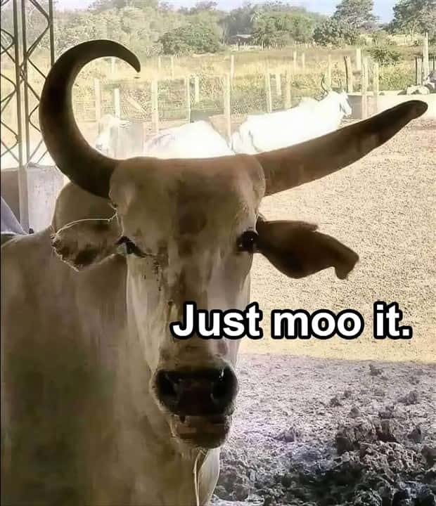 funny pics and memes 13 1 Funny Pics and Memes to Make You Laugh #173 (25 photos)