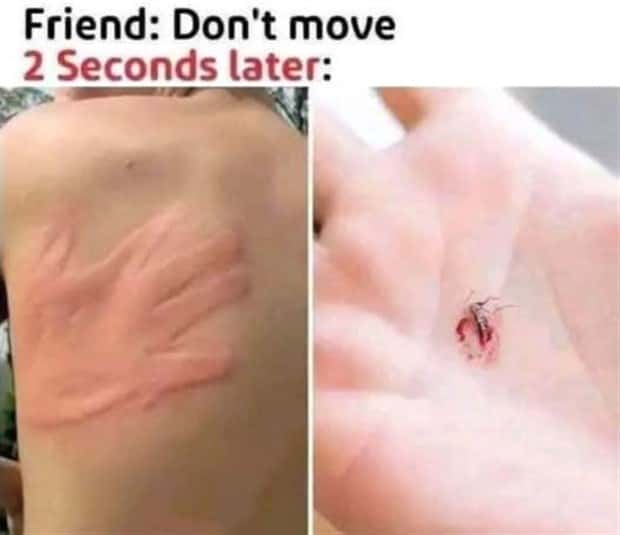 funny pics and memes 13 Funny Pics and Memes to Make You Laugh #171 (23 photos)