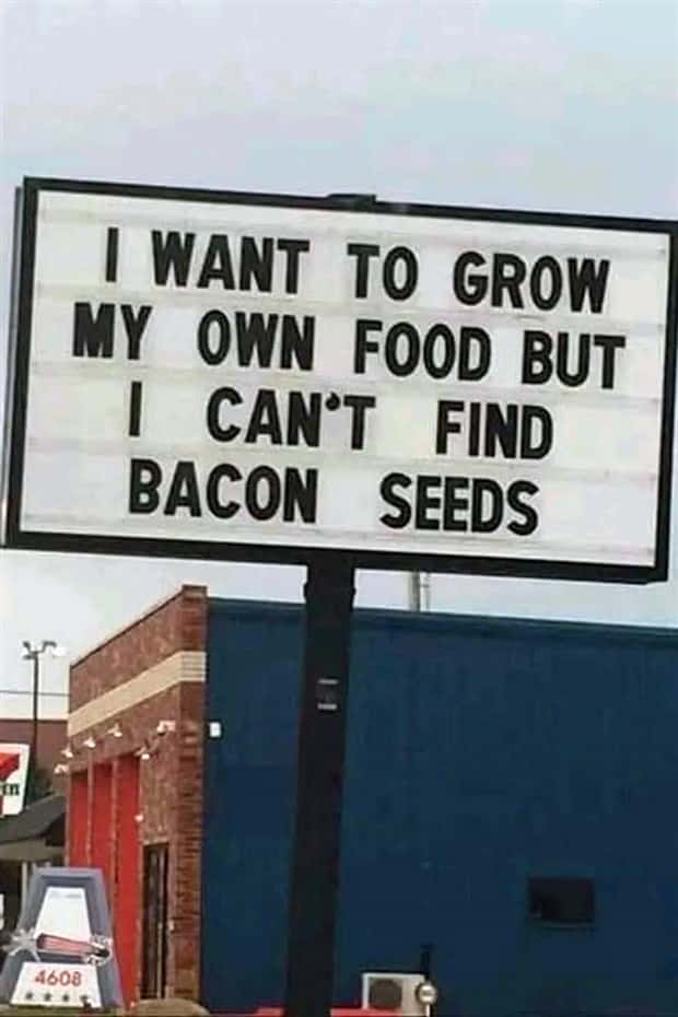 funny pics and memes 14 Funny Pics and Memes to Make You Laugh #171 (23 photos)