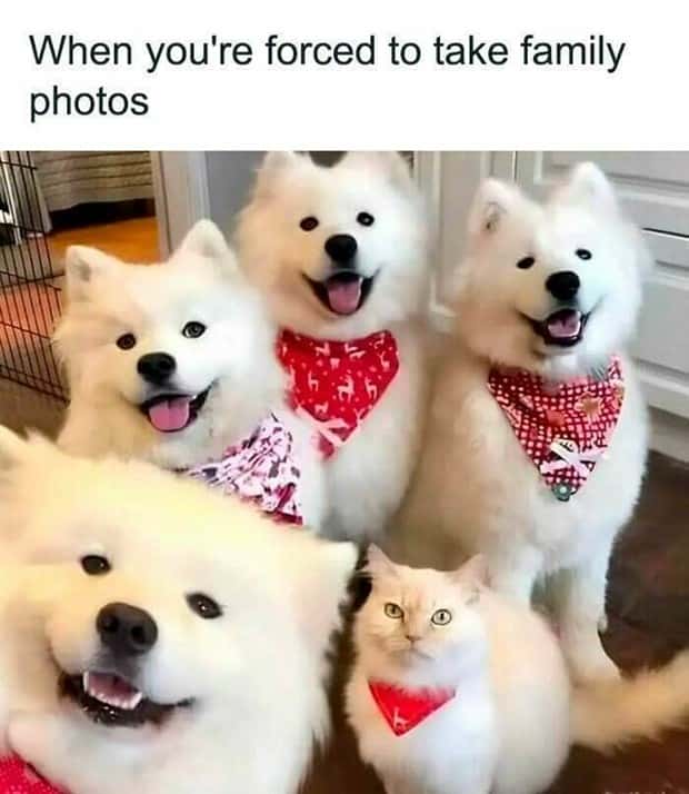 funny pics and memes 17 1 Funny Pics and Memes to Make You Laugh #173 (25 photos)