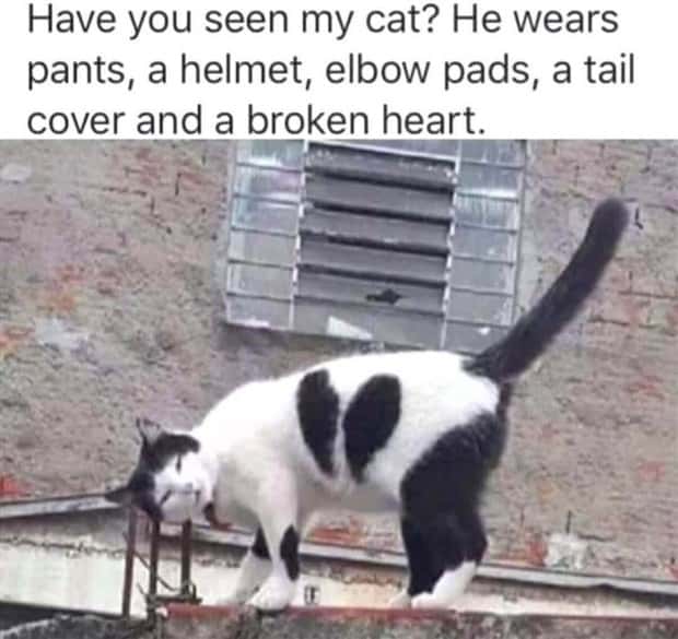 funny pics and memes 18 1 Funny Pics and Memes to Make You Laugh #173 (25 photos)