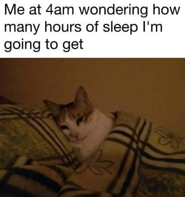 funny pics and memes 20 Funny Pics and Memes to Make You Laugh #171 (23 photos)