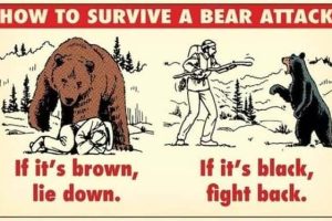 Handy Tips for Unexpected Situations (23 photos)