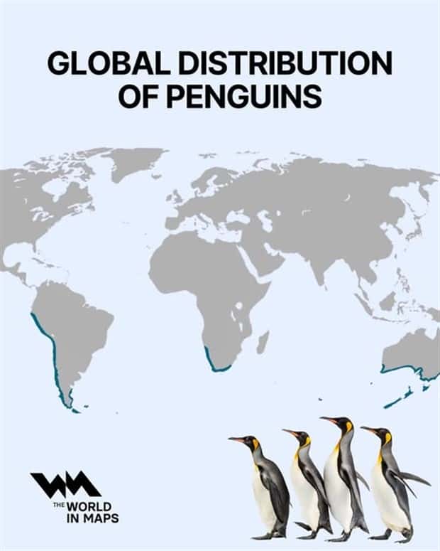 Charts and Maps with Intriguing Data #174 (21 photos)
