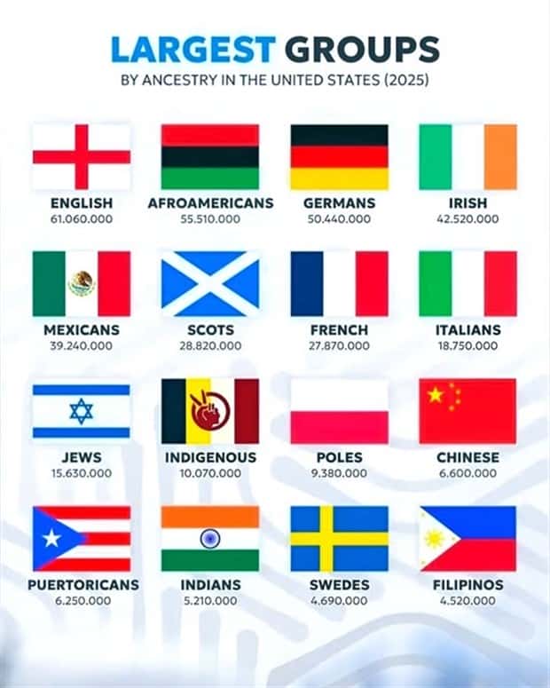 Charts and Maps with Intriguing Data #172 (20 photos)