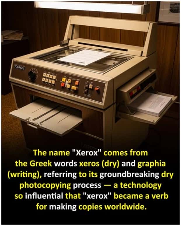 Cool and Interesting Facts #446 (22 photos)