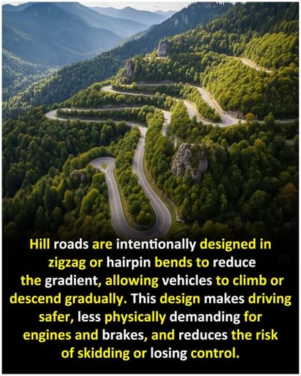 Cool and Interesting Facts #446 (22 photos)