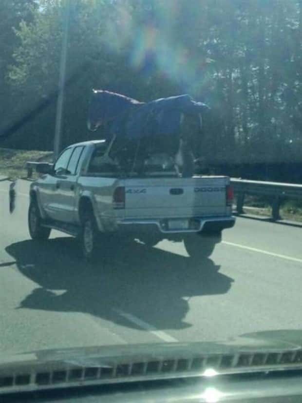 klyker picdump 9 1 2025 11 Klyker Picdump #1801 (41 photos)