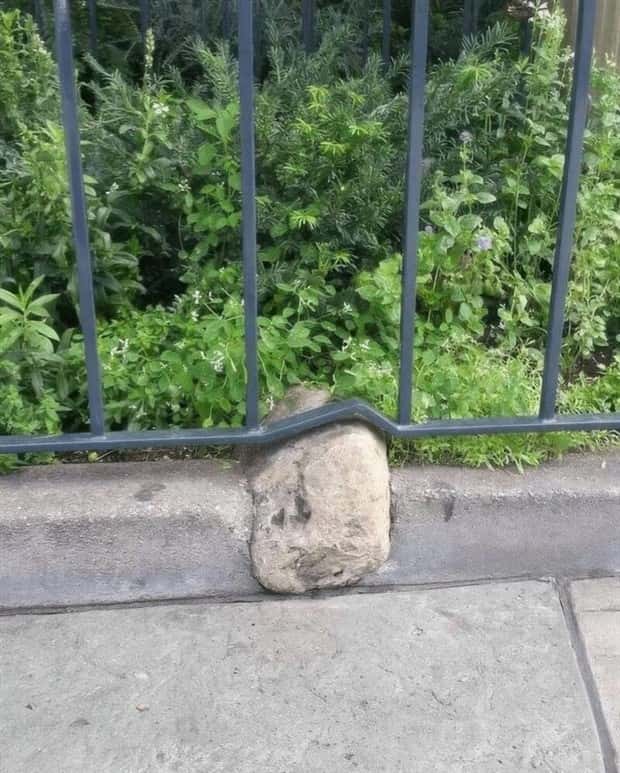 klyker picdump 9 1 2025 19 Klyker Picdump #1801 (41 photos)