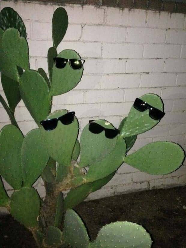 klyker picdump 9 1 2025 30 Klyker Picdump #1801 (41 photos)