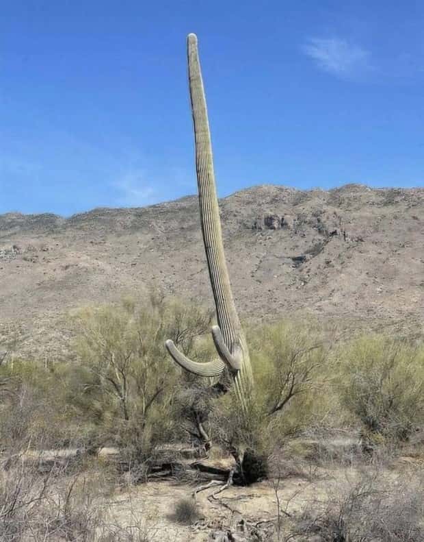 klyker picdump 9 1 2025 41 Klyker Picdump #1801 (41 photos)