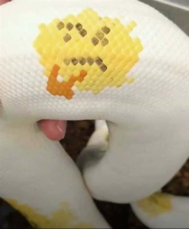 Klyker Picdump #1811 (41 photos)