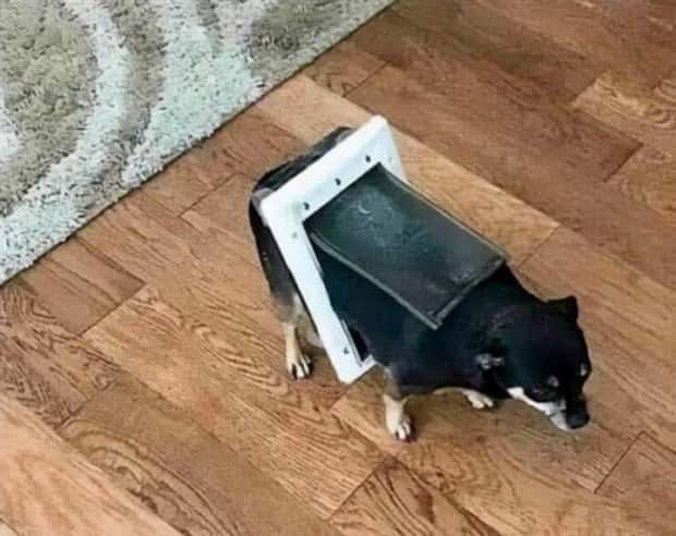 Klyker Picdump #1811 (41 photos)