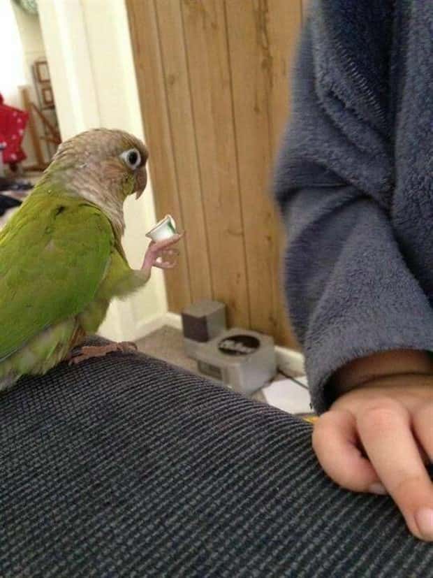 Klyker Picdump #1811 (41 photos)