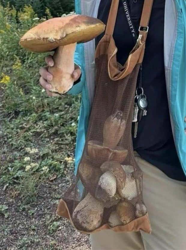 Klyker Picdump #1811 (41 photos)