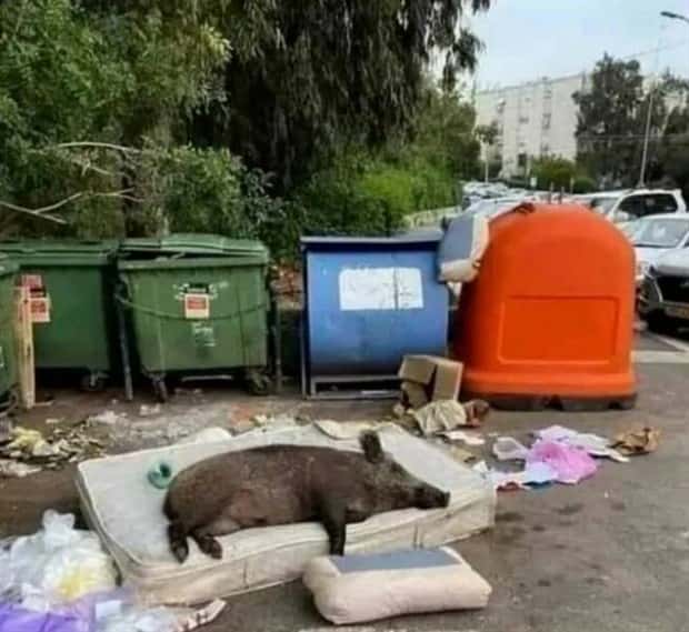 Klyker Picdump #1811 (41 photos)