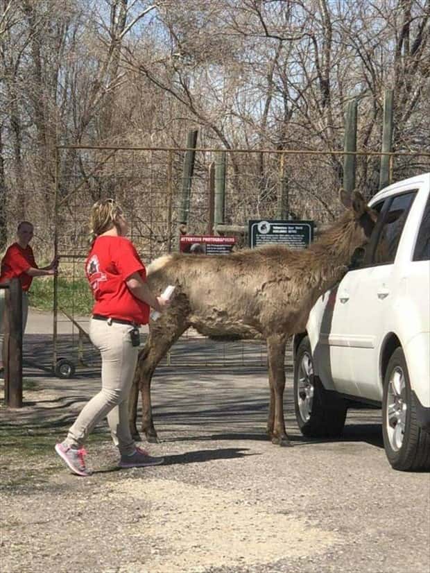 Klyker Picdump #1812 (42 photos)