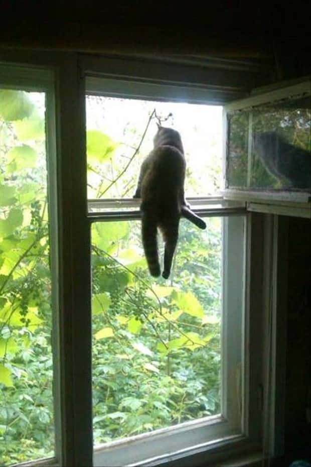 Klyker Picdump #1812 (42 photos)