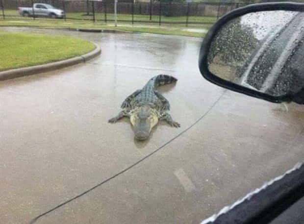 Klyker Picdump #1813 (43 photos)