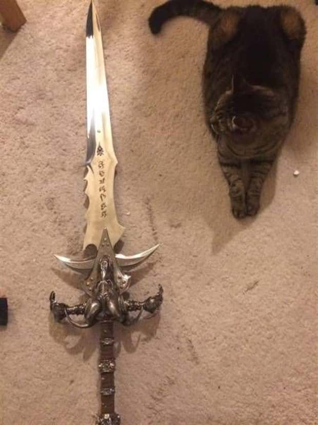 Klyker Picdump #1813 (43 photos)