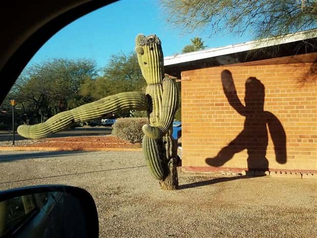 Klyker Picdump #1813 (43 photos)