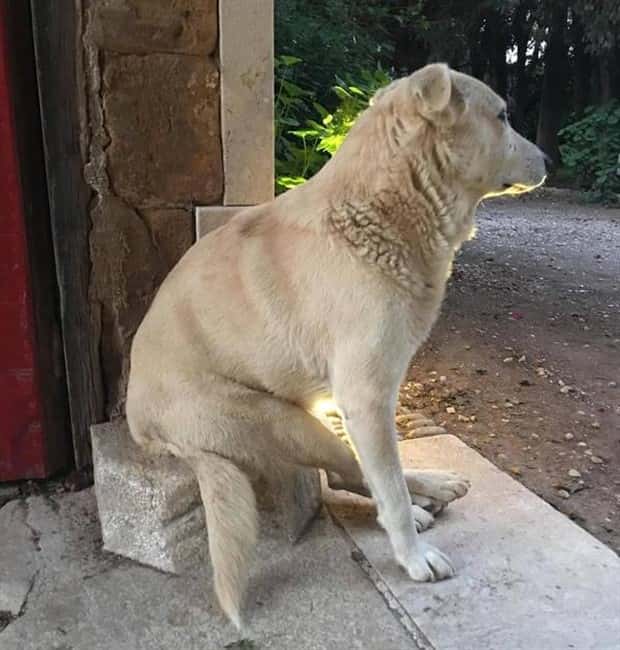 Klyker Picdump #1813 (43 photos)