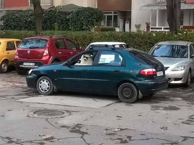 Klyker Picdump #1813 (43 photos)