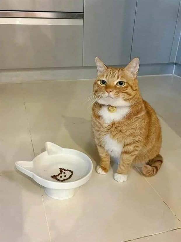 Klyker Picdump #1813 (43 photos)