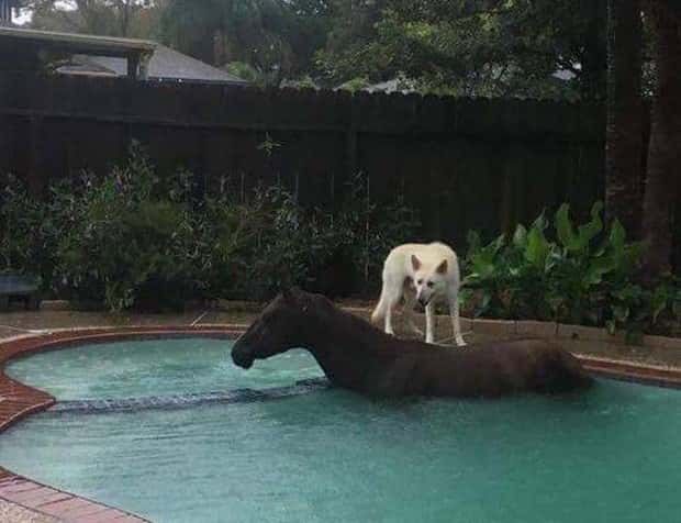 klyker picdump 9 18 2025 13 Klyker Picdump #1814 (44 photos)