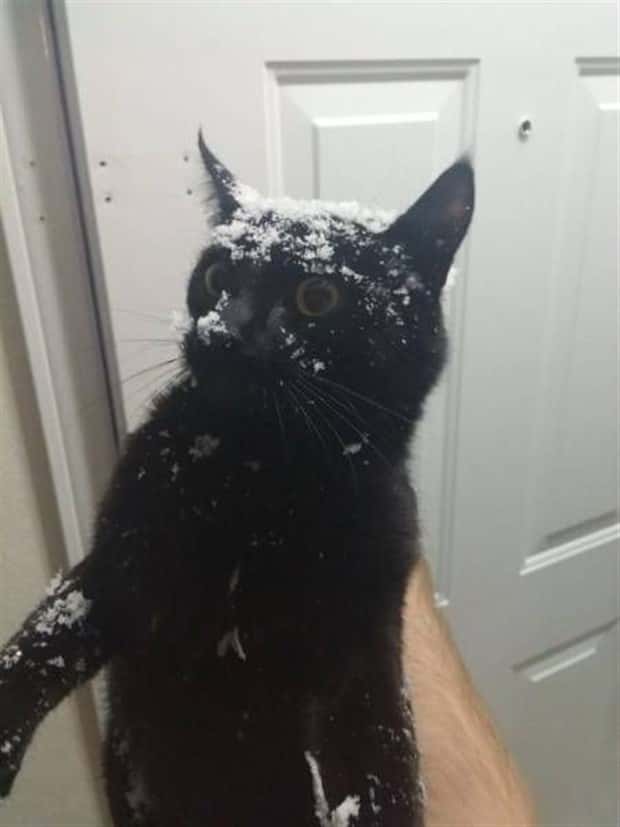 klyker picdump 9 18 2025 25 Klyker Picdump #1814 (44 photos)