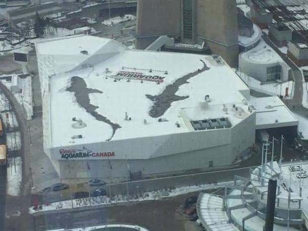 klyker picdump 9 18 2025 29 Klyker Picdump #1814 (44 photos)