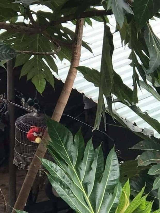 klyker picdump 9 18 2025 32 Klyker Picdump #1814 (44 photos)