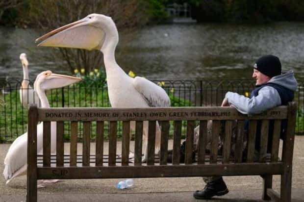 klyker picdump 9 18 2025 36 Klyker Picdump #1814 (44 photos)